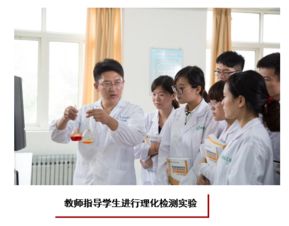 食品檢驗(yàn)檢測(cè)技術(shù) 技術(shù)手段、應(yīng)用與發(fā)展趨勢(shì)